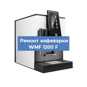 Ремонт капучинатора на кофемашине WMF 1200 F в Нижнем Новгороде